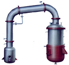 香蕉视频在线看